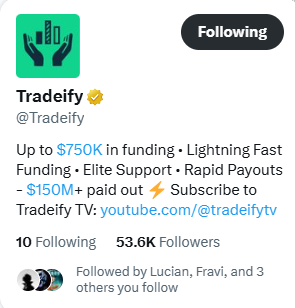 Owl tweet media