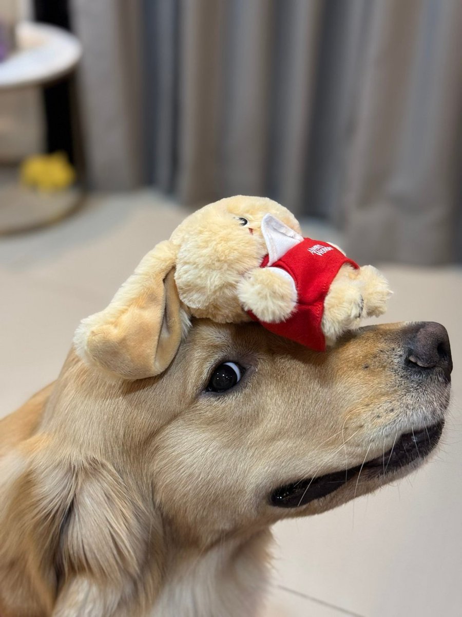 spotless tweet media