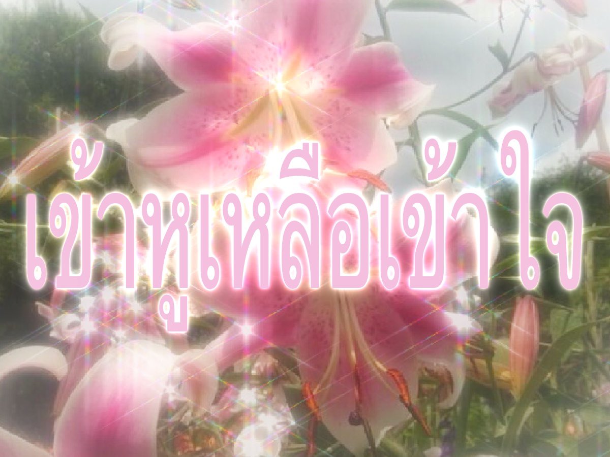 กาเบม tweet media