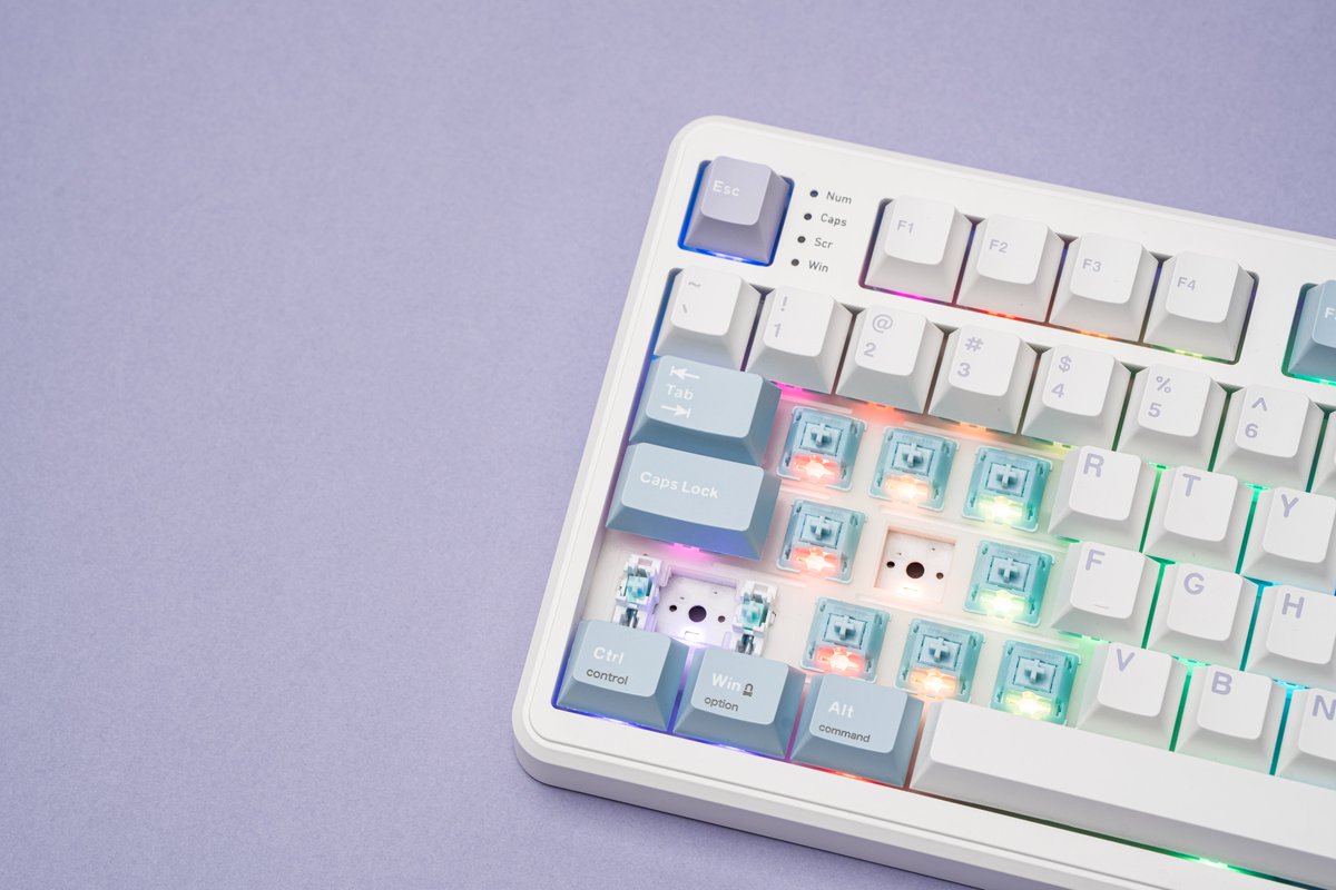 EpomakerK's tweet image. If you don't crack it open, you'll never unlock the secret behind the TH99 Pro. 

🔗 Choose your preferred typing feel
✨epomaker.com/products/epoma…

#TH99Pro #MechanicalKeyboard #DeskSetup #KeyboardAesthetic #EPOMAKER