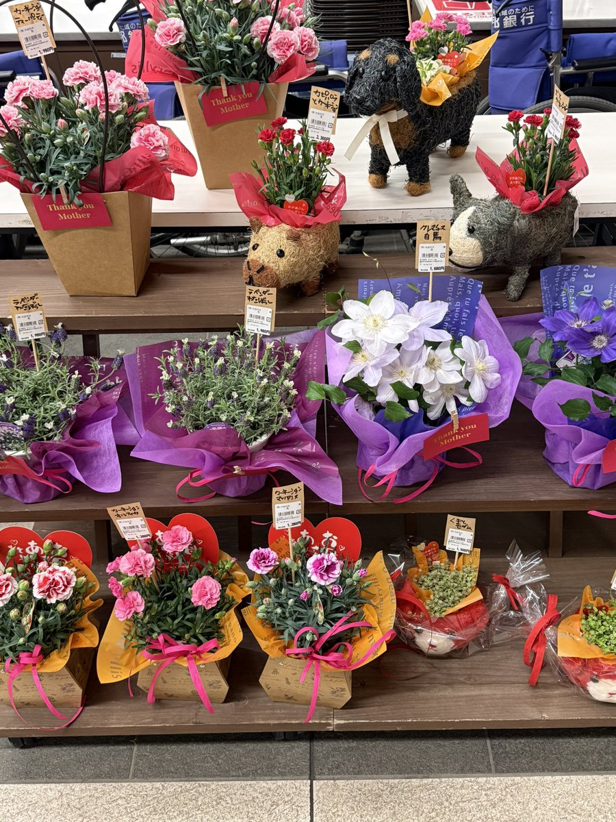 道の駅国見あつかしの郷【公式】🍒🍑🍇🍐🍎🍓 tweet media