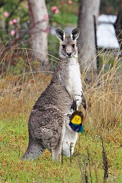 LEGO Santos tweet media