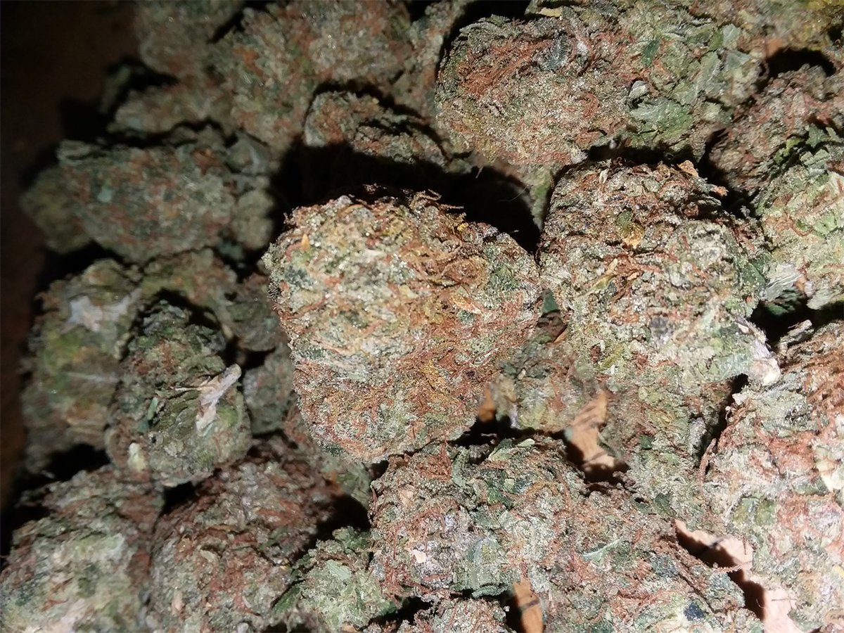 A_Augustooo's tweet photo. Afghan Kush https://t.co/e7LYt635tf