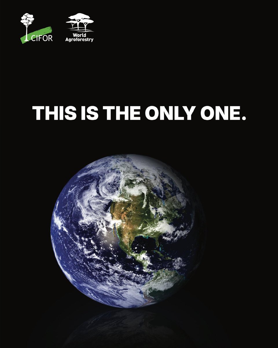 CIFOR_ICRAF's tweet image. One planet. One interconnected system we all depend on.

From forests to farms, rivers to rainfall, everything is linked. And trees play a critical role in keeping that balance.

Protecting trees means protecting the systems that sustain life.

#TreesPeoplePlanet