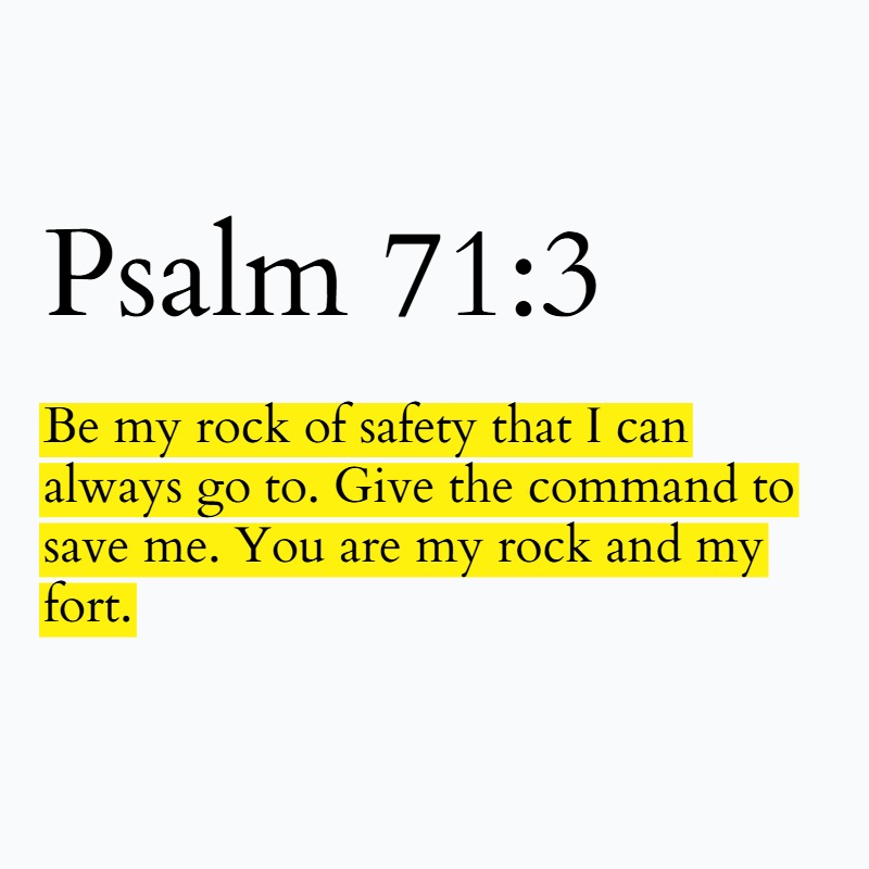 Holy Bible tweet media