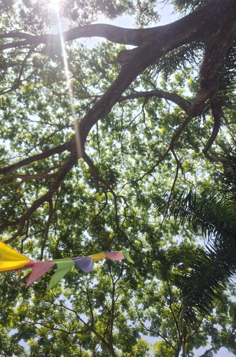 april jual kripik kuda lumping 🦖 tweet media