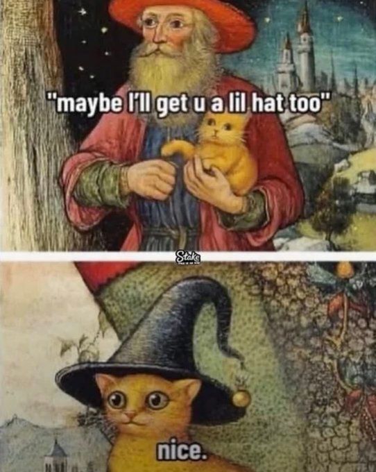 Cat TikToks tweet media