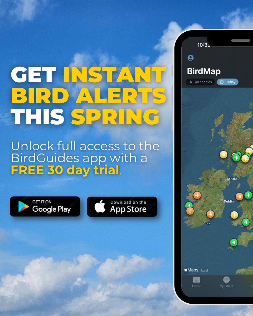 BirdGuides's tweet image. Try the BirdGuides app free for 30 days: bit.ly/47aveMy

#freetrial #birdguides #birdguidesapp #birding #birdwatching