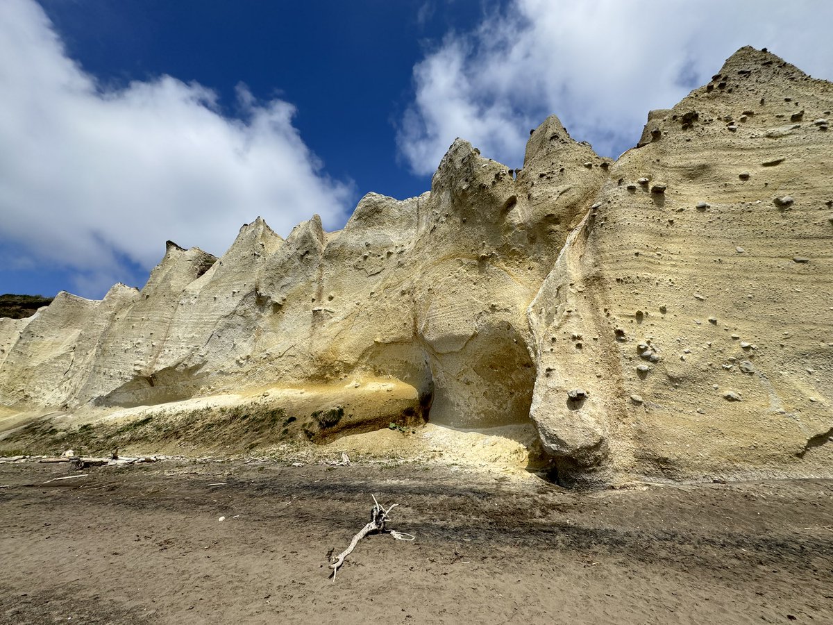 なます tweet media