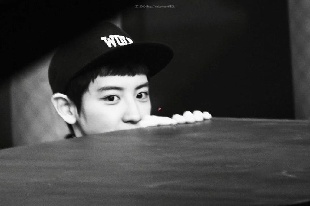 loey gallery tweet media