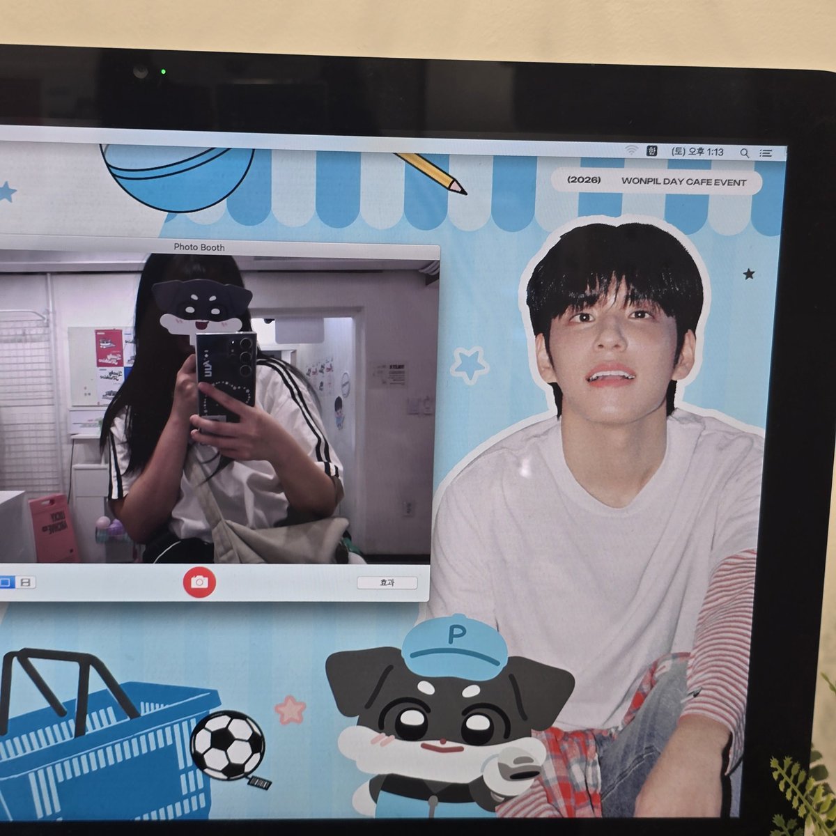 프링🍀 tweet media