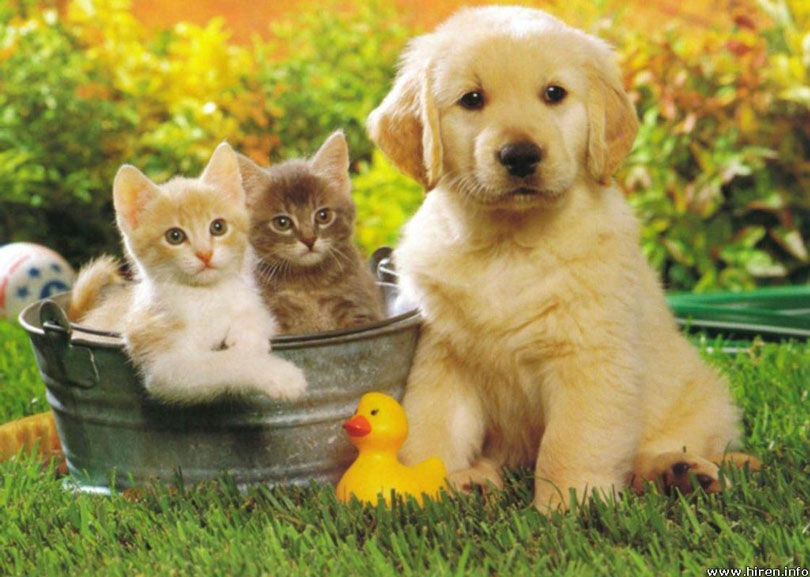 إذاعة روتانا لبنان tweet media