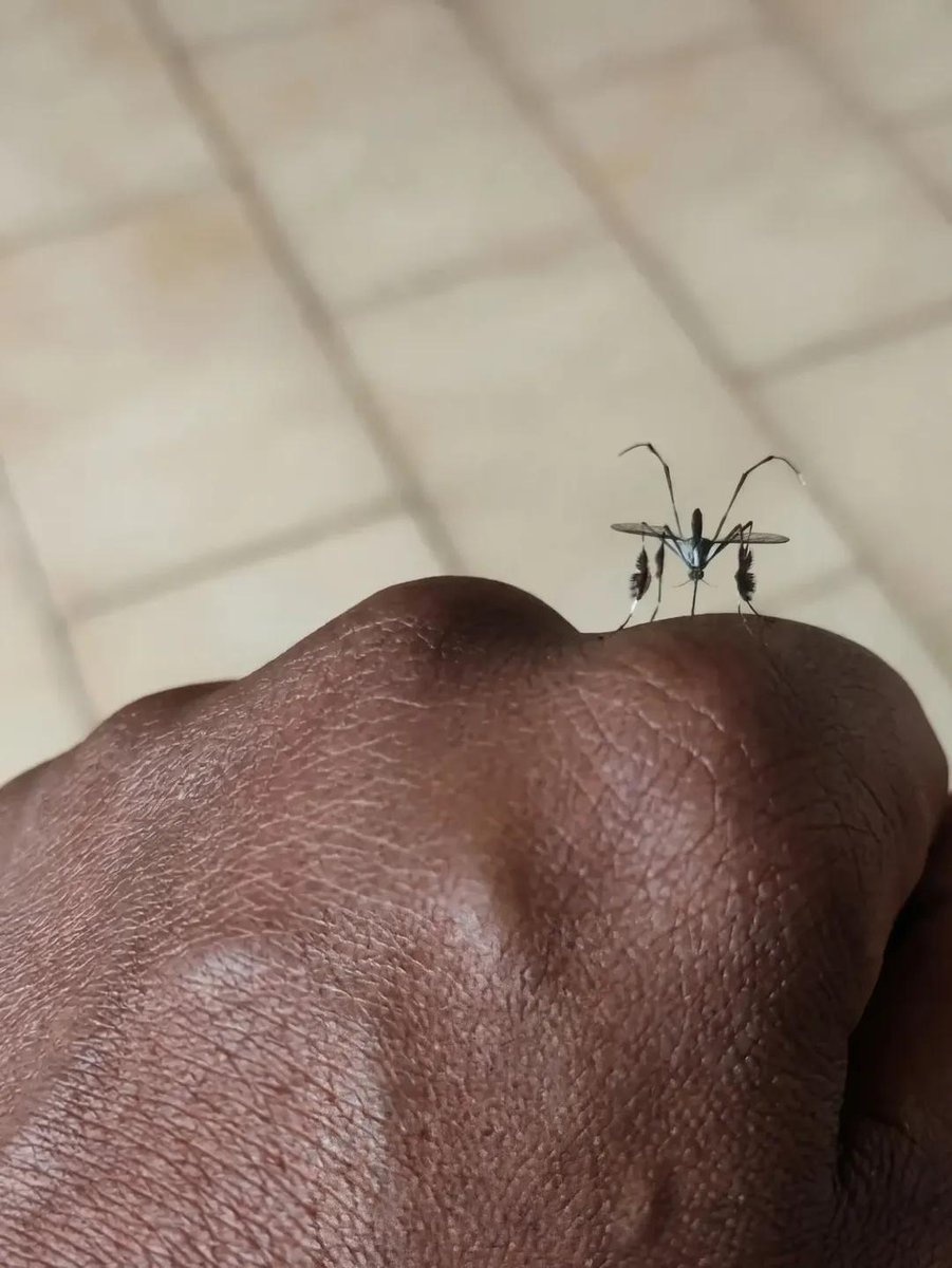 MSIZI 🇿🇦 tweet media