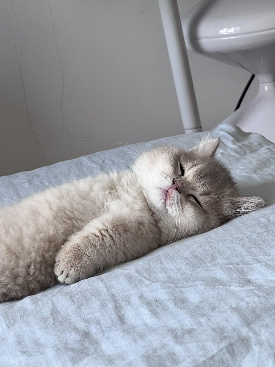 itsloopy tweet media