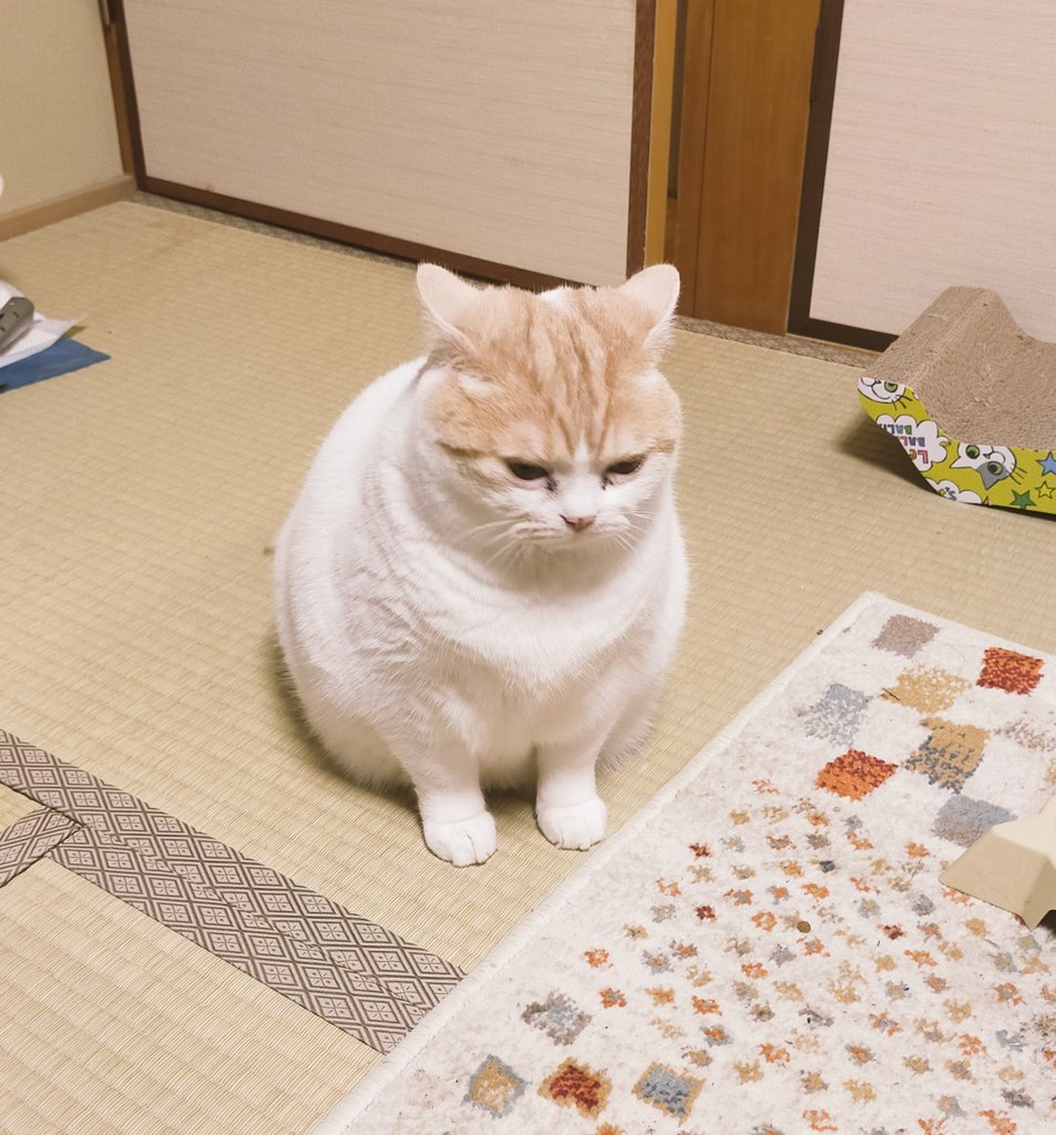 まさまさ tweet media