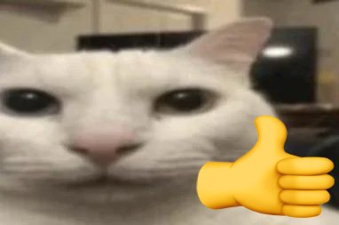 👍 tweet media