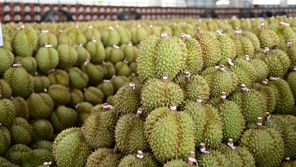 🏳️‍🌈 CHERSAN SRISATJANG ✈️ tweet media