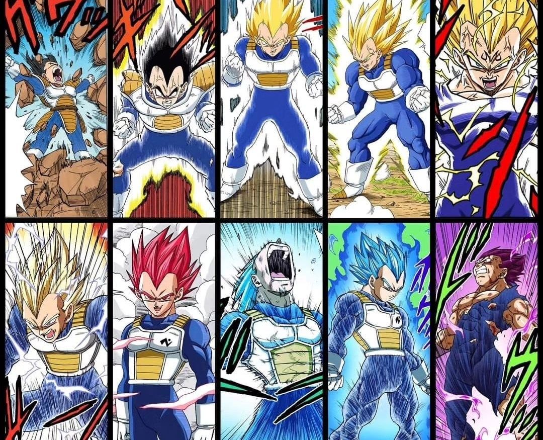 Vegeta came a long way