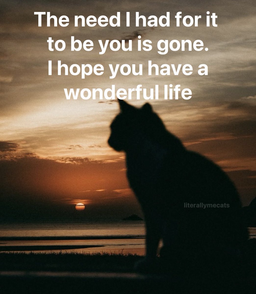literallymecats's tweet photo. https://t.co/kj2RwrAtYg