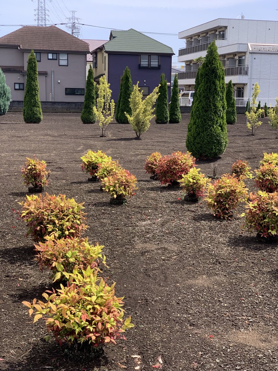 風吹く火曜の昼休み散歩。