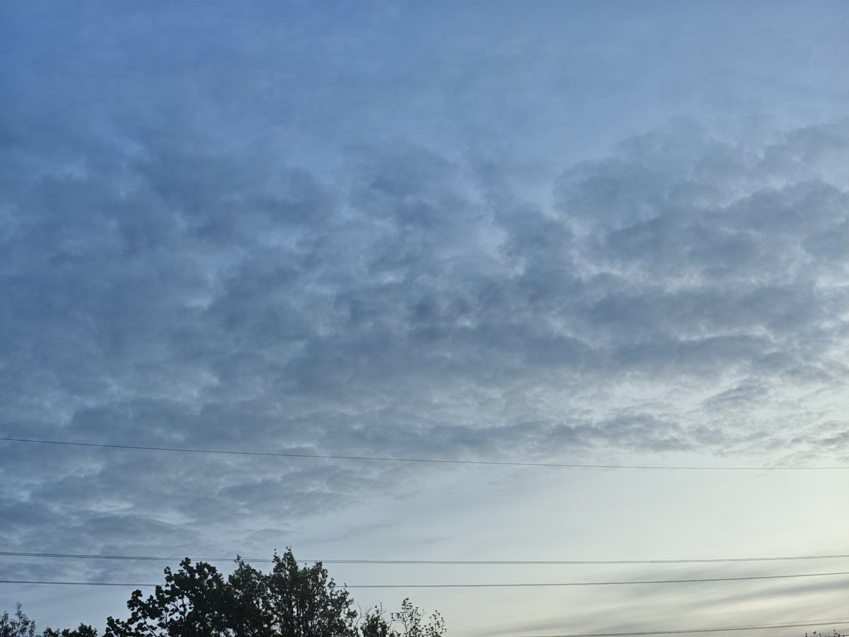 ʂƙཞყɱıཞ tweet media