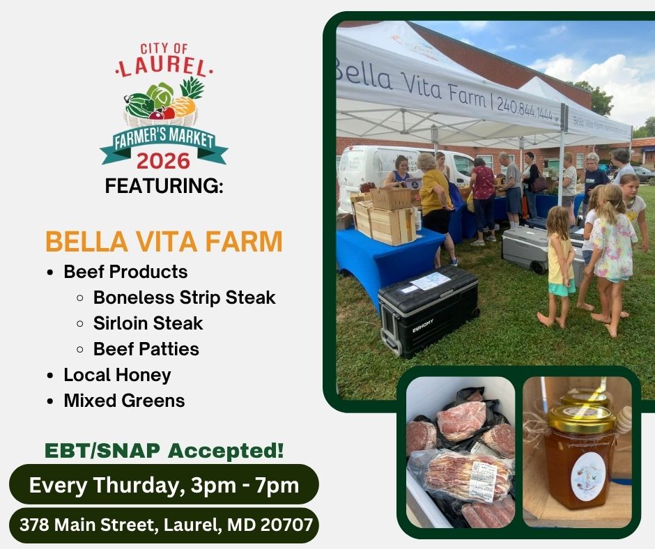 lrlmarketonmain's tweet image. Grab some local honey and mixed greens from our fantastic vendor, Bella Vita Farm, LLC! They have so much to choose from, so make a point of stopping by at 378 Main Street this Thursday, April 30th, from 3 - 7pm. We take Snap/EBT! #ShopSmall🛍 #SupportLocal💚