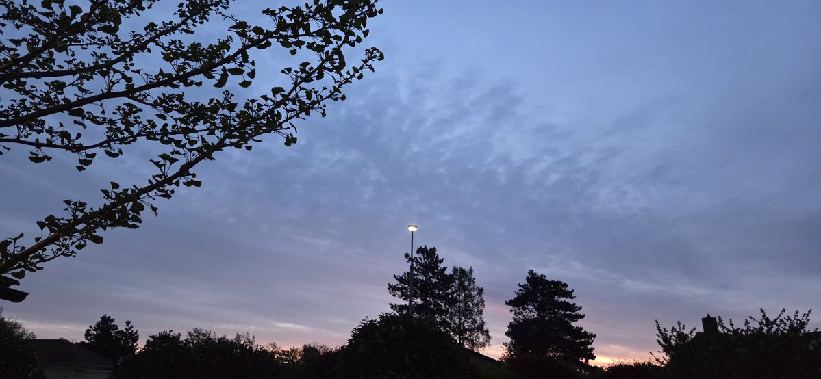 Joseph Noir tweet media