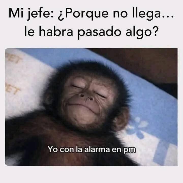 Hendrix1603's tweet photo. #BuenosDías https://t.co/Z73iJahqS7