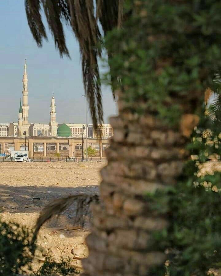 ﷺ tweet media