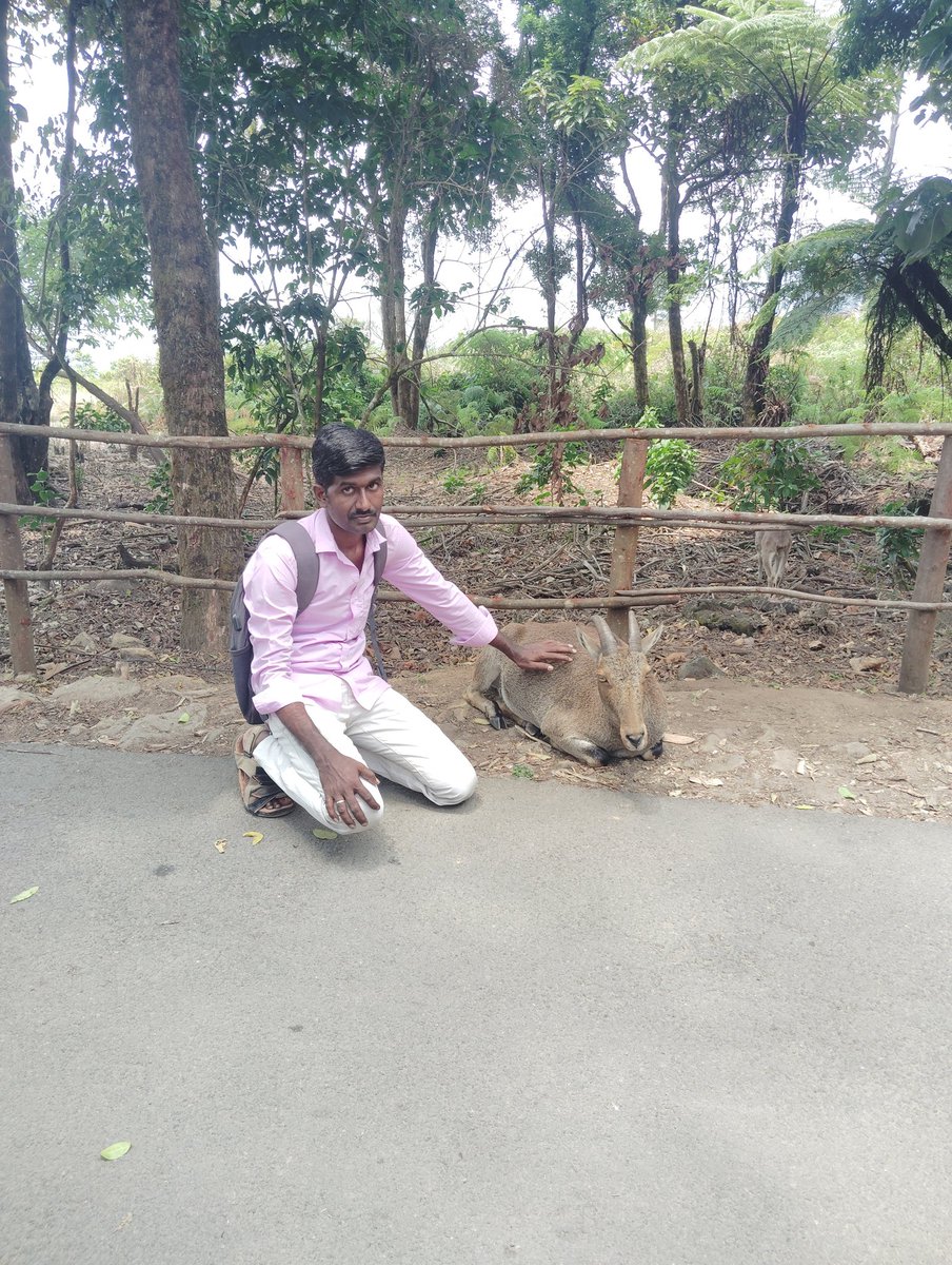 prem7791's tweet image. #Munnar