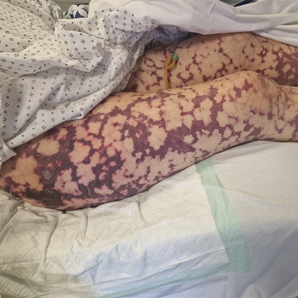 Dr Ihab Suliman tweet media