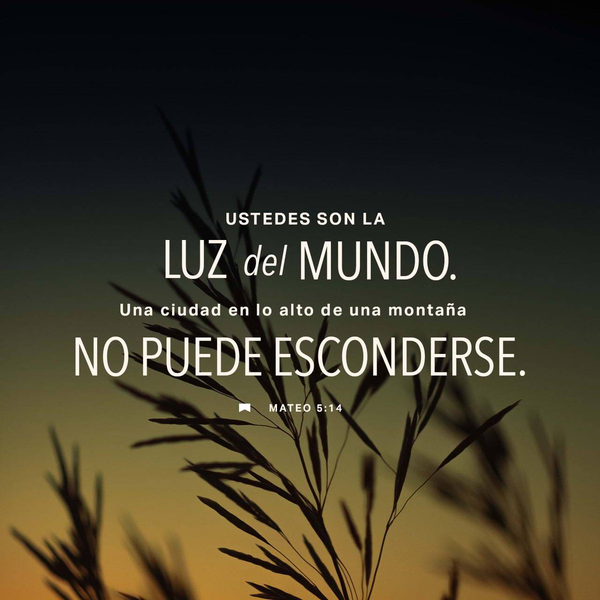 Rafael_design_7's tweet image. Mateo 5:14 NVI
[14]  »Ustedes son la luz del mundo. Una ciudad en lo alto de una montaña no puede esconderse. 

bible.com/bible/128/mat.… #Biblia