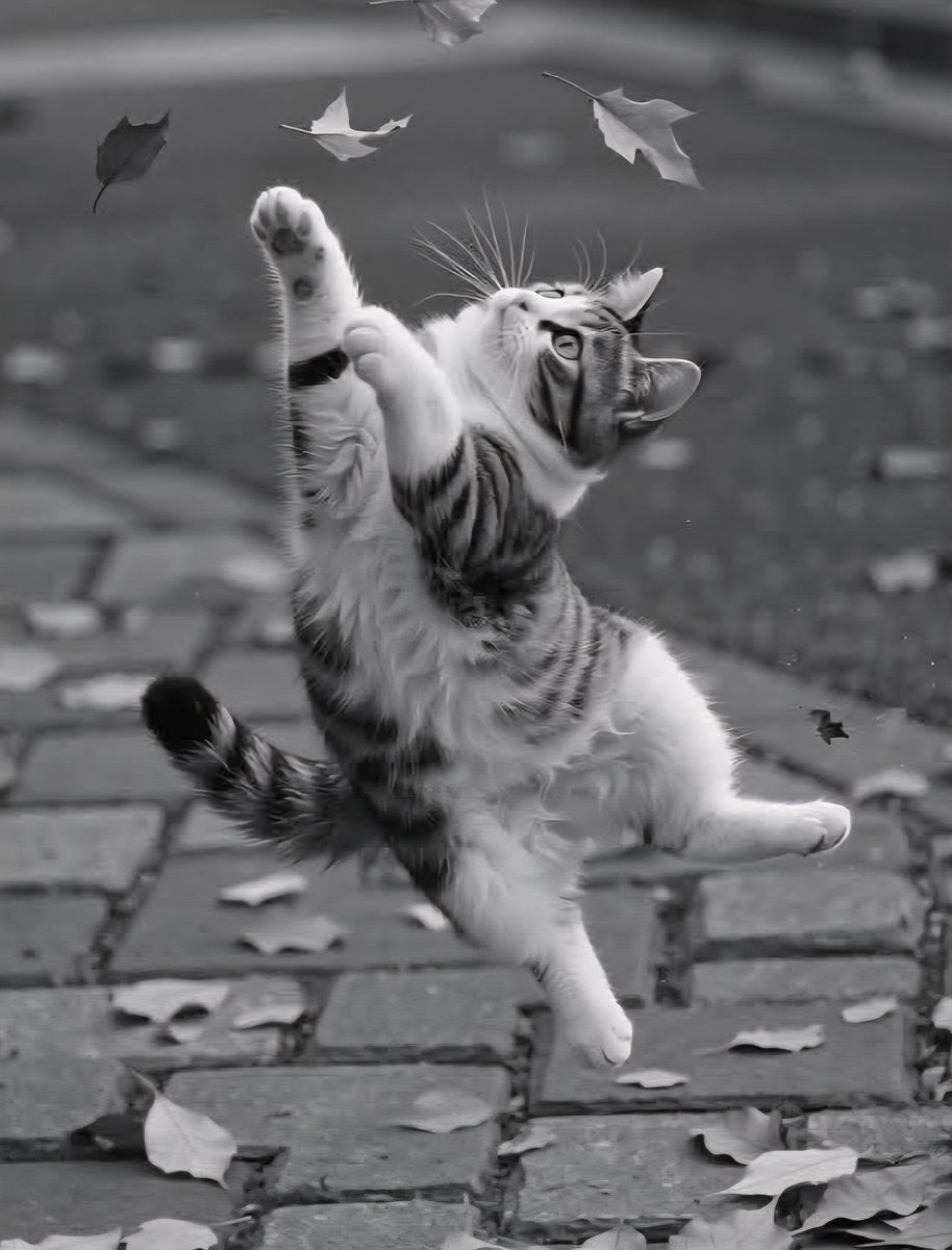 Mutluluk...
Dışarıda değil ki....
İnsan...
Kendi kendine de iyi gelebilir....

Günaydınnn.....
🐾🐾🐾