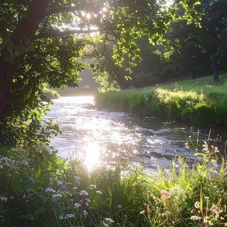 Mariam • tweet media