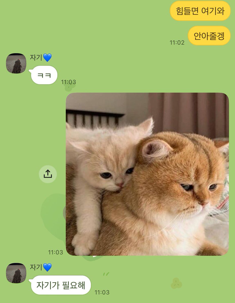 𓇥 BUSY tweet media