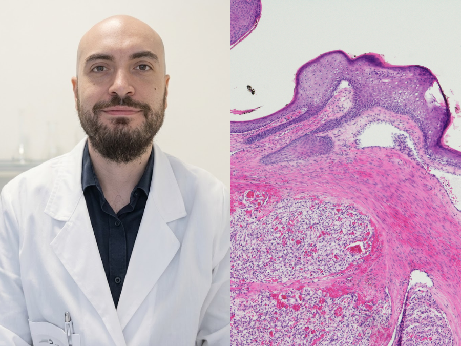 Cancer Core Europe (CCE) tweet media