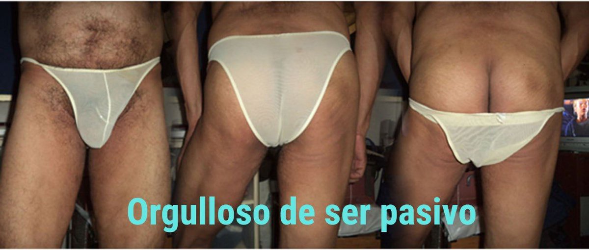 Perro Marcelo tweet media