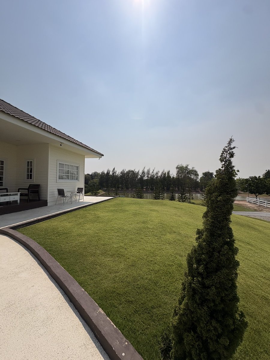 ปี๊เรืองแสง💸🔥🌟 tweet media