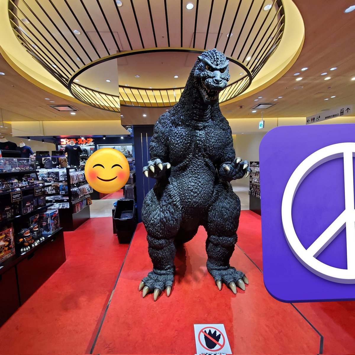 ふにゃ🏴‍☠️ tweet media