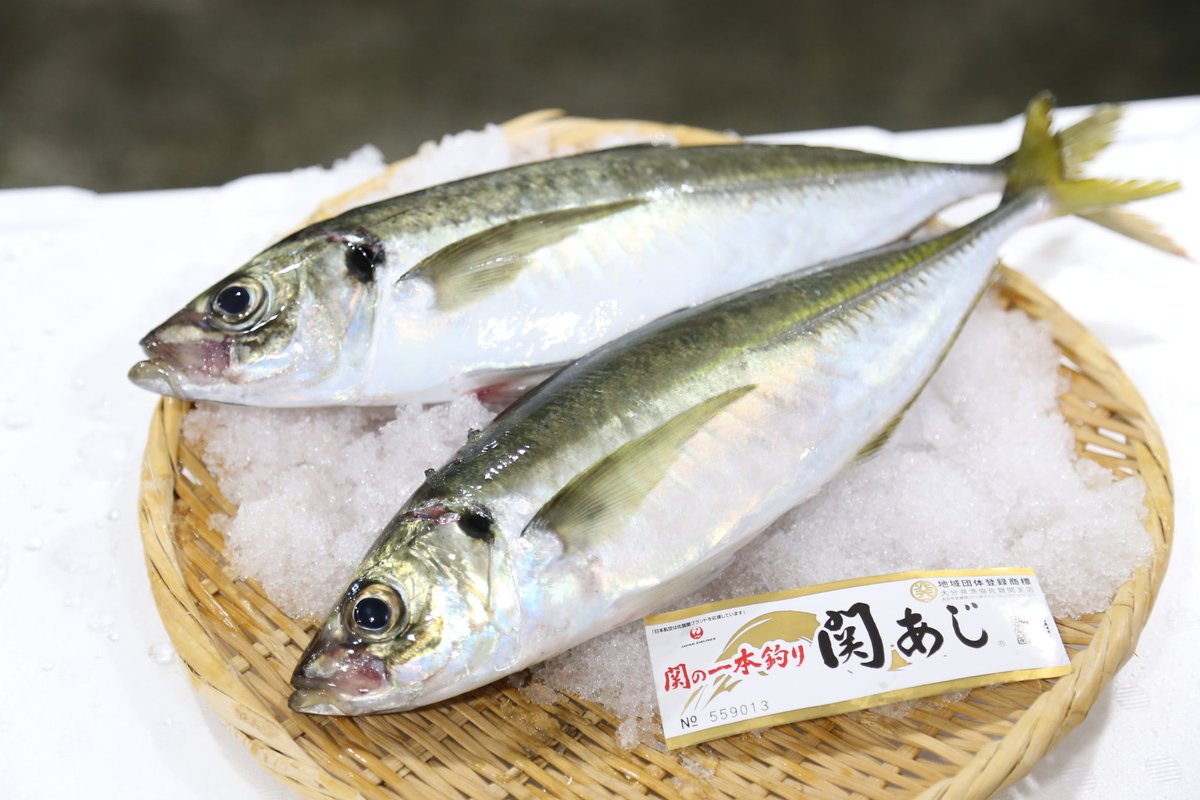 夢あじ｜さかなドリーム公式 tweet media