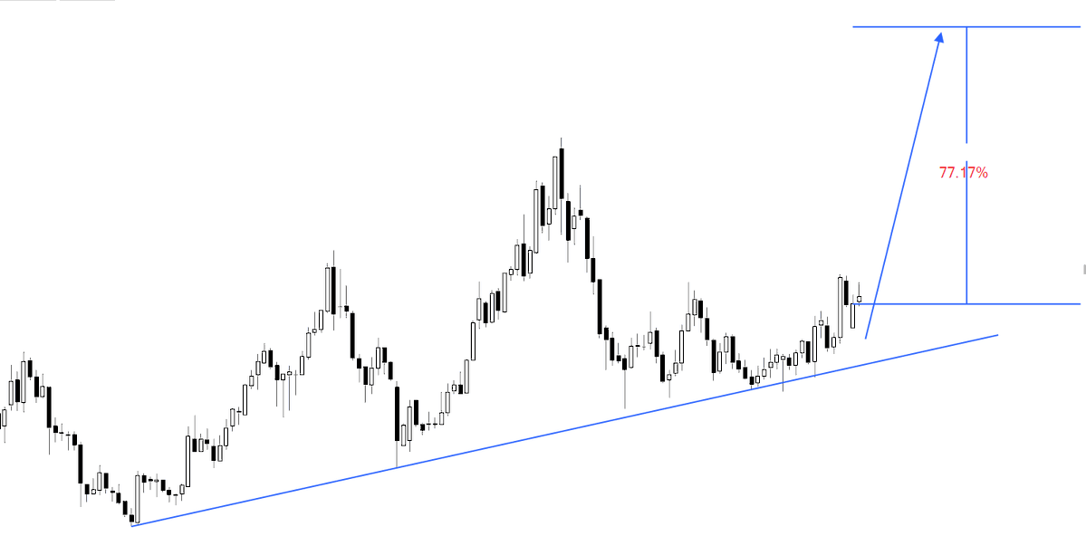 بدر البدوي الغامدي 🇸🇦BADER ALGHAMD tweet media