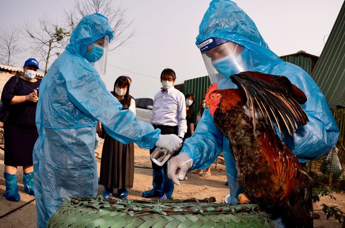ito_naoki's tweet image. Japan 🇯🇵 advances #OneHealth, with @IOM_Vietnam and @FAOVietNam, in preventing infections diseases in Ha Tinh Province, as part of its effort to proactively build peaceful and stable international environment. This cooperation to Vietnam 🇻🇳 is to promote #HumanSecurity.