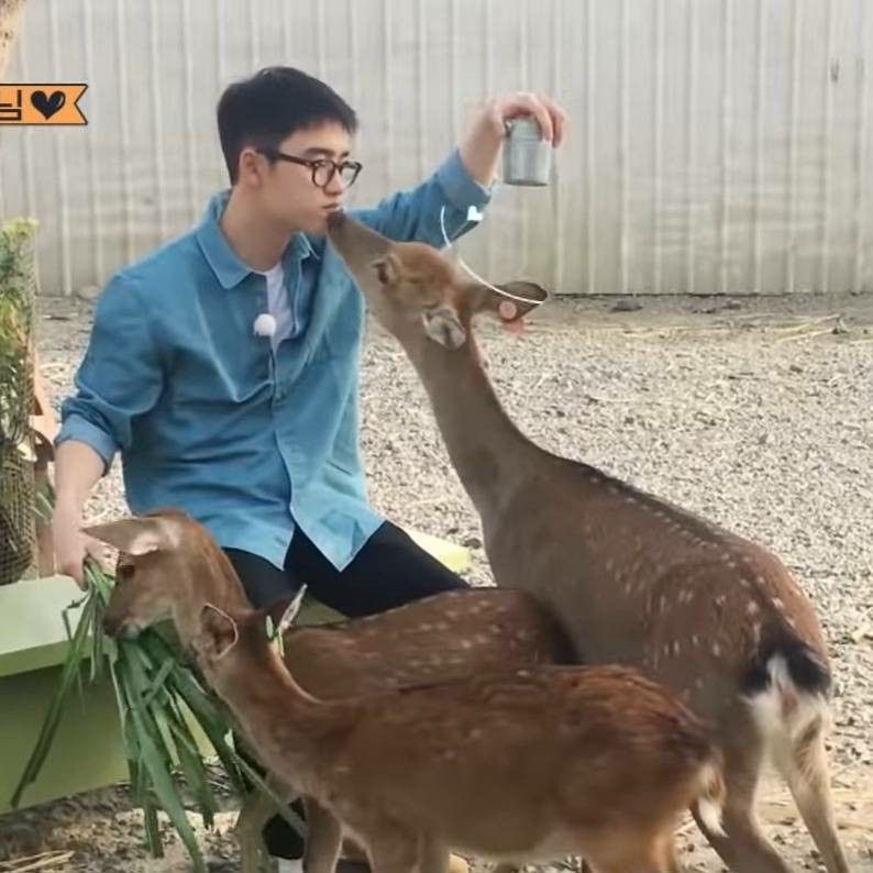 도겅수 tweet media