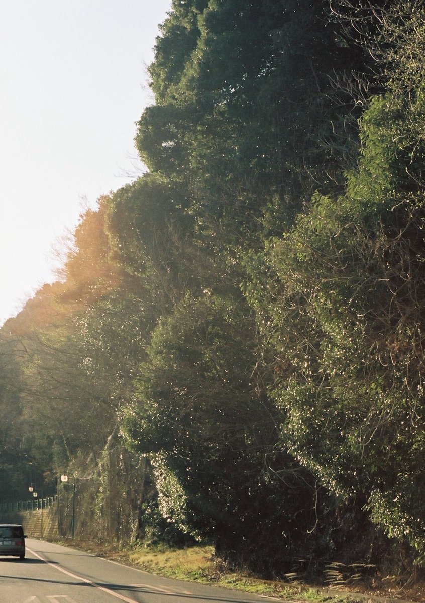 小井里 ゆか tweet media