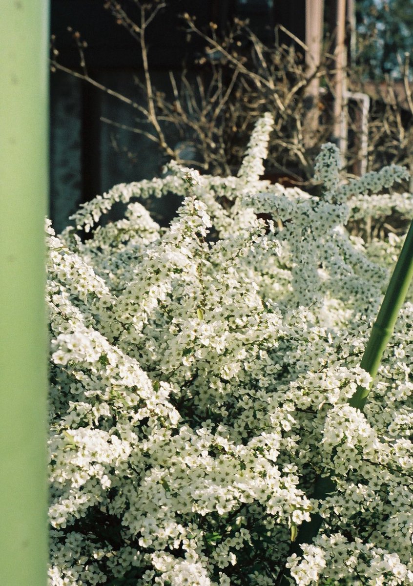 小井里 ゆか tweet media