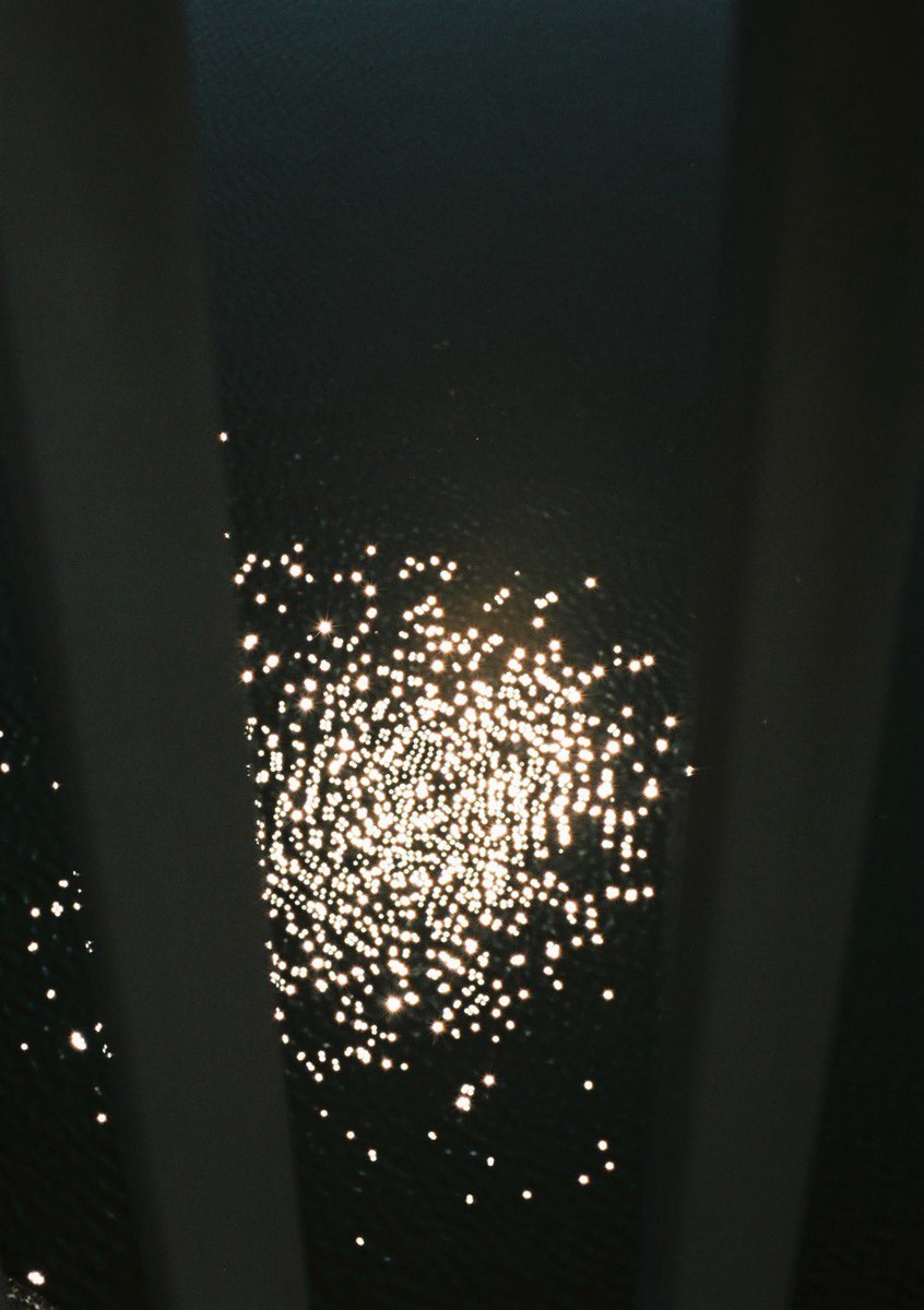 小井里 ゆか tweet media