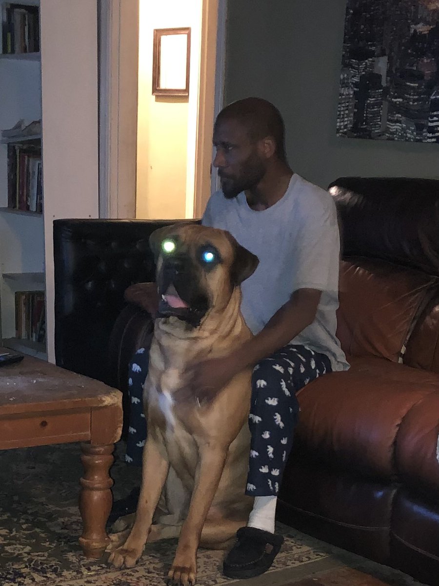 Some turned 3 today 😍🎂. Happy birthday Dozer #canecorso
#italianmastiff #bigboy