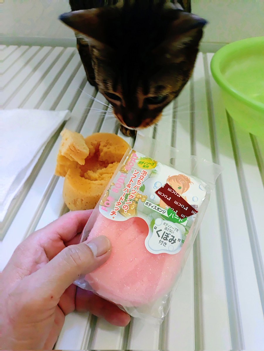 やまいわけん tweet media