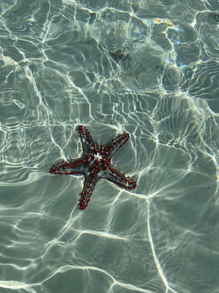 𝑙𝑦𝑟𝑎 tweet media