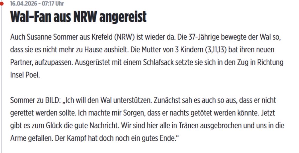 Robert Willacker tweet media